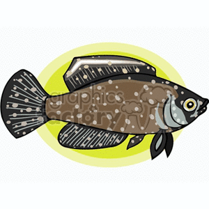 Tropical Speckled Fish