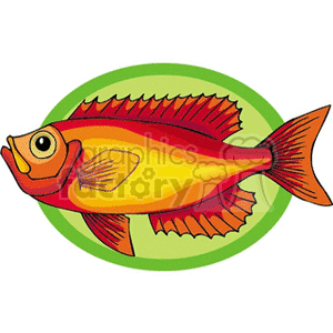This clipart image depicts a stylized, colorful fish with a predominantly orange body, highlighted with red fins and a yellow belly, against a green circular background.