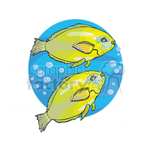 Tropical Yellow Fish - Exotic Underwater Life
