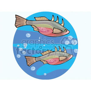 Colorful Fish Swimming Underwater