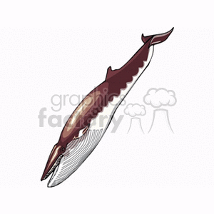 The clipart image shows a stylized illustration of a whale, side-view, predominantly in shades of brown and white.