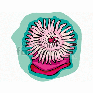 Stylized Sea Anemone - Marine Life