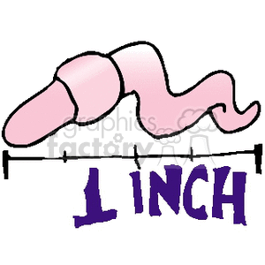 A pink worm measuring 1 inch long depicted with a ruler below it and the text '1 INCH' in bold purple letters.