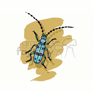 Blue insect beetle