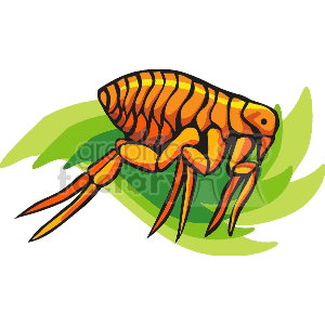 A colorful vector illustration of a flea with an orange and yellow body on a green background.