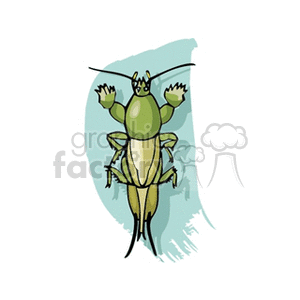 A cartoon-style clipart image of a green grasshopper , from above. 