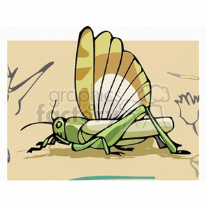 A colorful clipart image of a green grasshopper with detailed wings in a cartoon style.