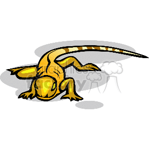 Yellow lizard