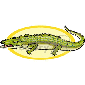 Cartoon Crocodile