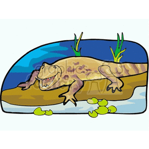 Cartoon Alligator on Shore