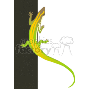 Green and yellow iguana