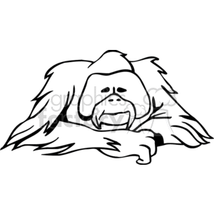 Black and white clipart of an orangutan resting with its head on its arms.