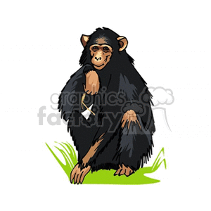 Clipart image of a chimpanzee sitting on grass.