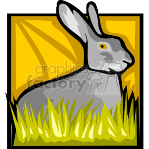 Grey rabbit sitting in grass framed
