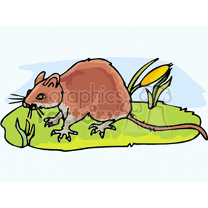 The clipart image depicts a cartoon representation of a brown rodent, possibly a mouse or a rat, standing on a green surface that could represent grass, with a few leaves or plant elements around it. The rodent has prominent whiskers, large ears, and a long tail.