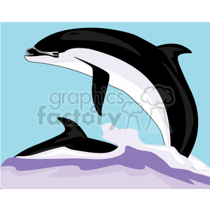 The image is a clipart featuring two dolphins. One dolphin is leaping out of the water while the other is partially submerged. The water is illustrated with white and purple waves, and the background is a light blue, representing the sky.