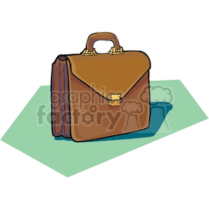 Professional Brown Briefcase