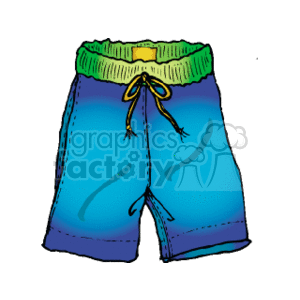 Men's Blue Swim Shorts