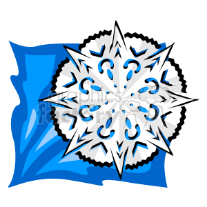 Large Snow Flake