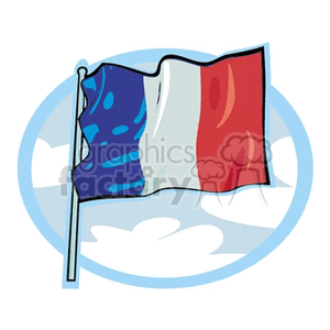 france Flag in oval