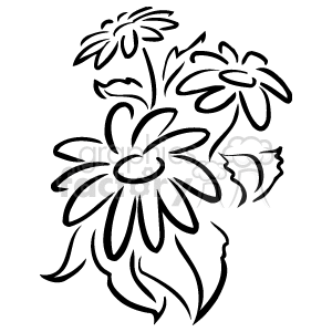 Black and White Daisy Outline — Nature Flower