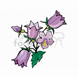 Colorful clipart of purple bell flowers with green leaves.