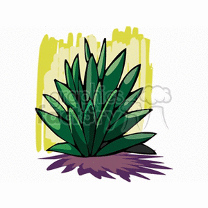 Illustration of a green plant with pointed leaves, resembling an aloe vera plant.