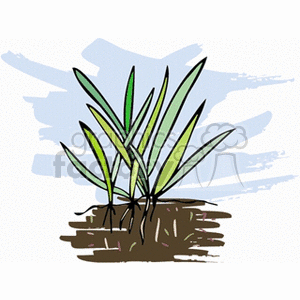 Green Grass Illustration with Leaves and Soil