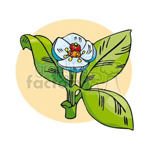 A colorful clipart of a flower with white petals and green leaves.