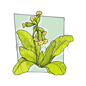 Illustrated Green Plant with Yellow Flowers