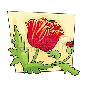 A vibrant clipart image of a red poppy flower with green leaves against a yellow background.