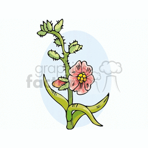 A colorful flower clipart illustration featuring a stem, leaves, and a pink flower with a yellow center.