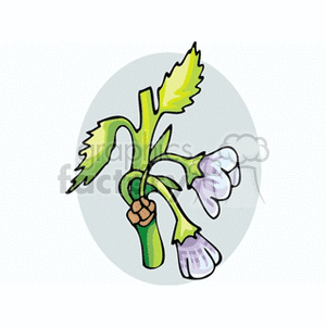 Illustration of a stylized green plant with purple and white flowers.