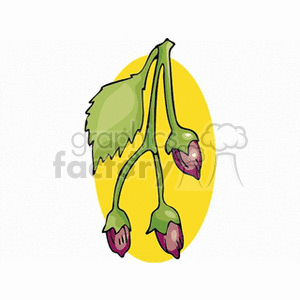 Clipart of three budding flowers on a green stem with a yellow background.