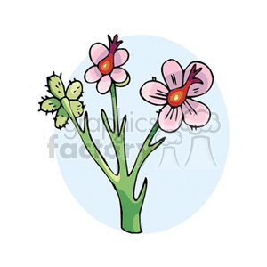 A colorful clipart image of a flowering plant with multiple pink flowers and green stems.