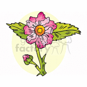 Clipart image of a pink flower with green leaves, featuring a single bloom and a budding flower.