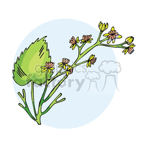 Clipart image of a plant with green leaves and small yellow and pink flowers against a light blue background.