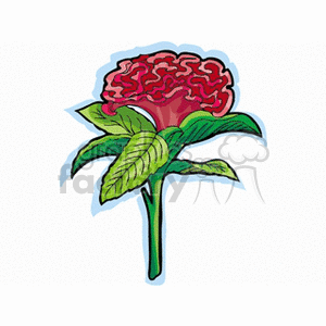 A colorful clipart image of a cockscomb flower with vibrant red petals and green leaves.