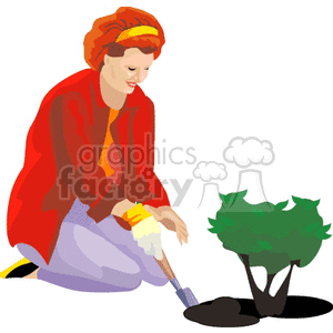 Woman Gardening - Planting Shrub