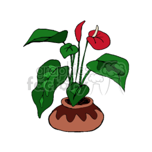 The clipart image showcases a potted plant with broad green leaves and a single red flower blooming from a stem, set against a simple background. The pot appears to be a terracotta color with a simple design.