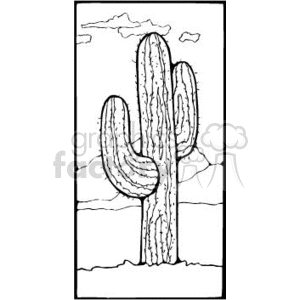 Black and white cactus