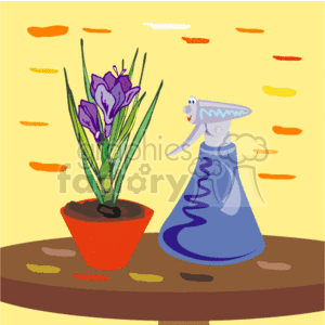 Purple flowers in a pit sitting on a table with a spray bottle