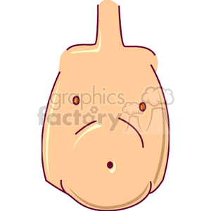 Illustration of a simplified stomach and belly area, depicted as a cartoon representation.