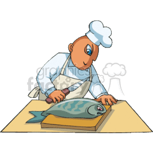 The clipart image depicts a chef preparing a fish. The chef is wearing a traditional white chef's uniform consisting of a double-breasted jacket, a white apron, and a chef's hat (toque). The chef's attention is focused on a whole, raw fish placed on a cutting board, indicating that they are about to scale, gut, or fillet it.