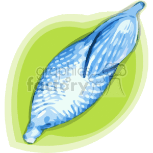 blue seashell