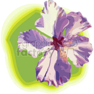   The image shows a stylized representation of a tropical hibiscus flower, commonly associated with Hawaiian flora. The flower, appearing in shades of purple and white with a red center, is depicted against a subtle green background that might suggest a leaf or abstract representation of Hawaii