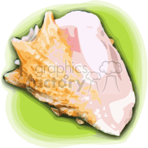 The image is a clipart of a single tropical seashell with a detailed texture, depicted on a green background which might suggest a leaf or a simplified representation of Hawaiian natural scenery.