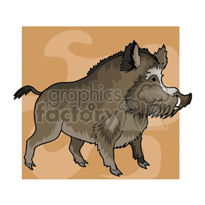 Clipart image of a wild boar, symbolizing the Chinese Zodiac sign for the Year of the Boar or Pig.