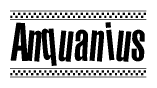 The clipart image displays the text Anquanius in a bold, stylized font. It is enclosed in a rectangular border with a checkerboard pattern running below and above the text, similar to a finish line in racing. 