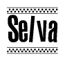 The clipart image displays the text Selva in a bold, stylized font. It is enclosed in a rectangular border with a checkerboard pattern running below and above the text, similar to a finish line in racing. 